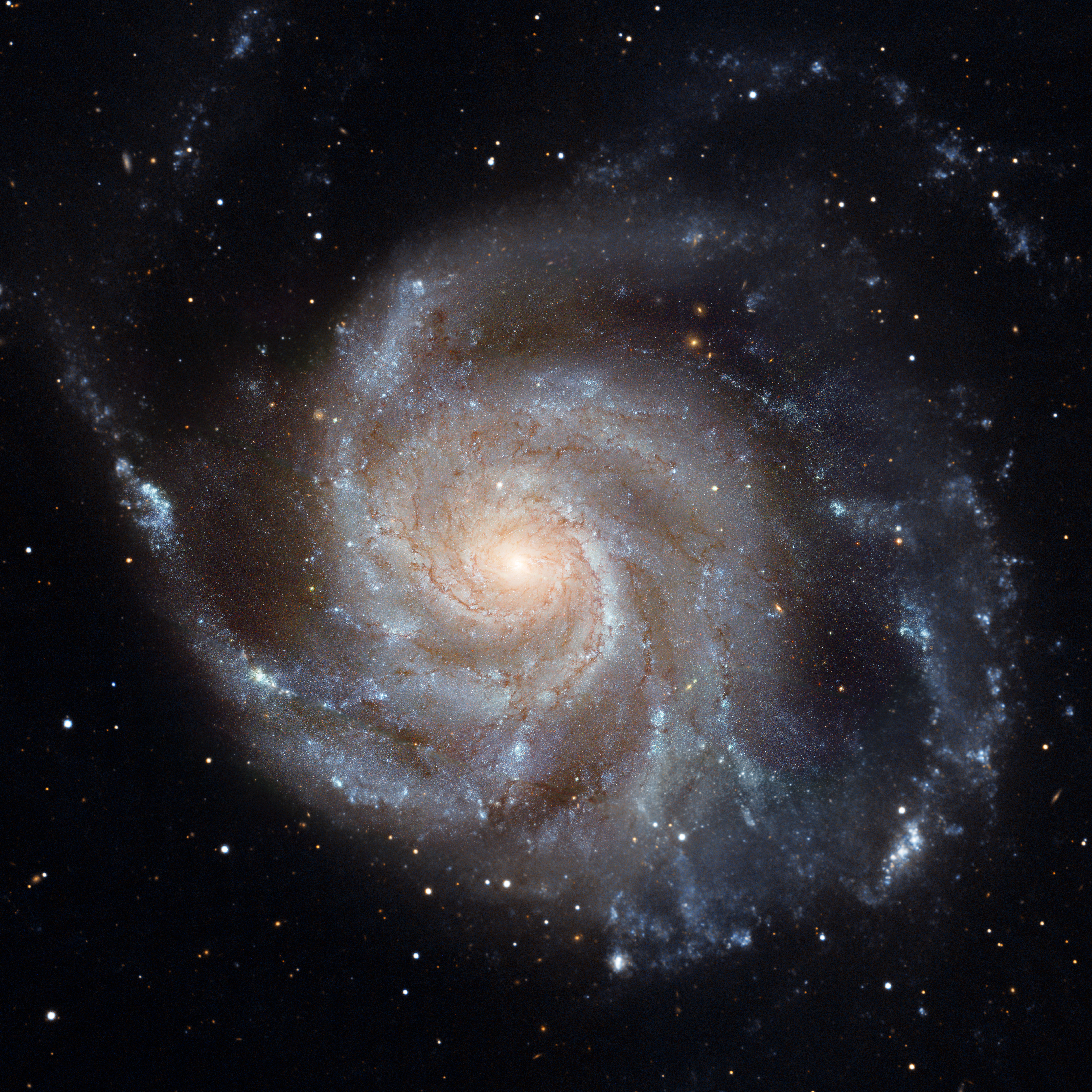 M101 Galaxia del molinete 